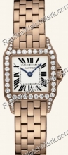Cartier Santos Demoiselle - Pequeño wf9008z8  Cartier Santos Demoiselle - Pequeño wf9008z8