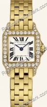 Cartier Santos Demoiselle - Petites wf9001y7  Cartier Santos Demoiselle - Petites wf9001y7