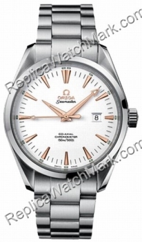 Omega Aqua Terra Big Size - 42.2mm 2502.34