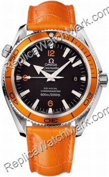 Omega Planet Ocean - 42mm 2909.50.38