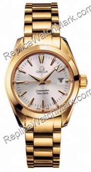 Omega Aqua Terra 28 millimetri 2.177,30