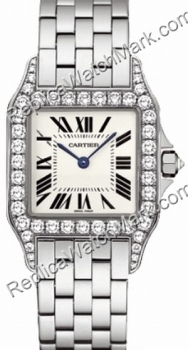 Cartier Santos Demoiselle - среднего wf9004y8