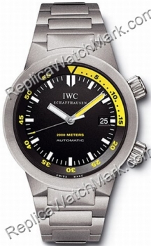 IWC Aquatimer Автоматическая 2000 3538-03