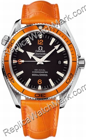 Omega Planet Ocean - 42mm 2909.50.38