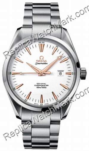 Omega Aqua Terra Big Size - 42.2mm 2502.34